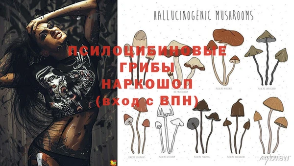 Альфа ПВП Балахна