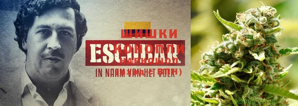 бутират Балабаново